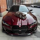 @udayanka06