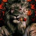 @kumar_is_back