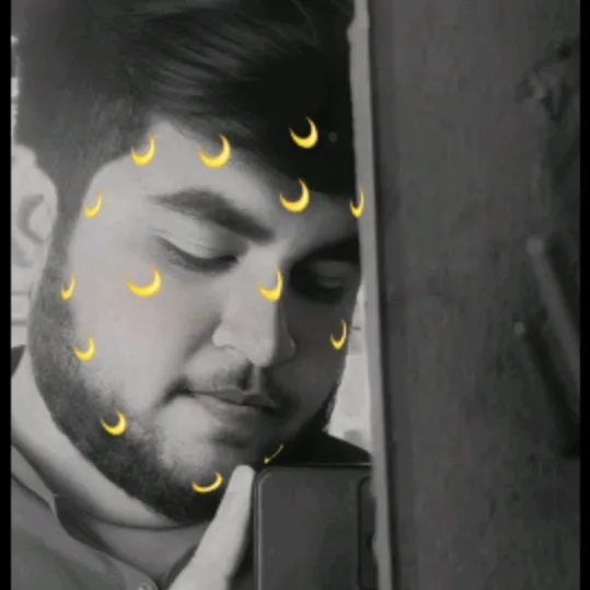 sunnyislive7