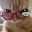 @w4sdxd