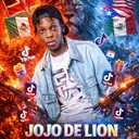@jojodelion