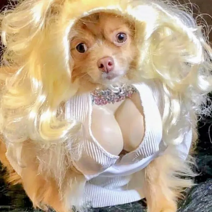 @la_barbie_liss1