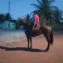 @eric.lessa2