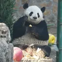 @hongnhungnguyen.2097