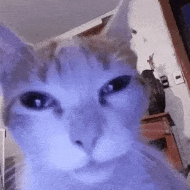 yogaaziz.z
