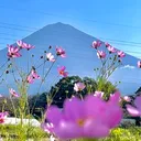 @kanta09296
