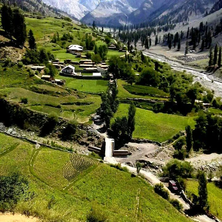 @mdk_chitral