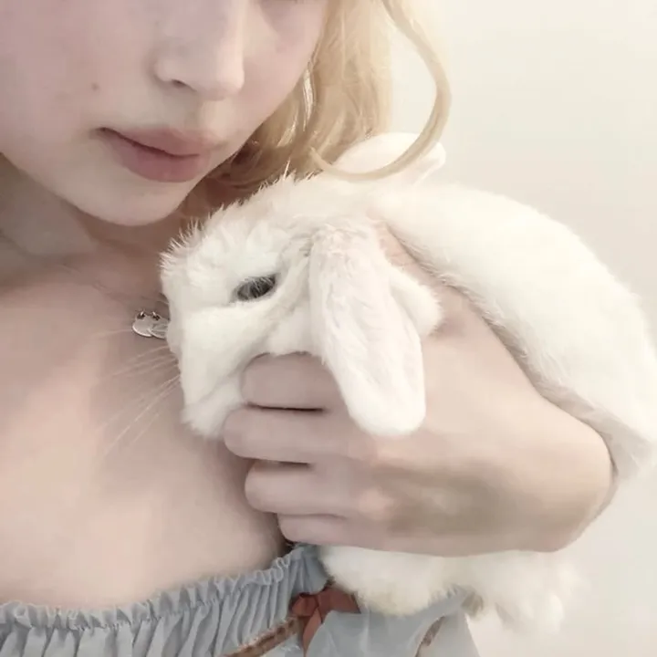 @spzx_01