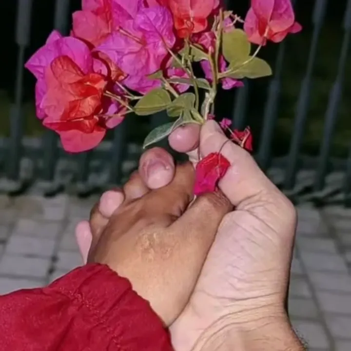 srijubashnet