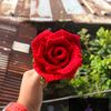 savedbybts613