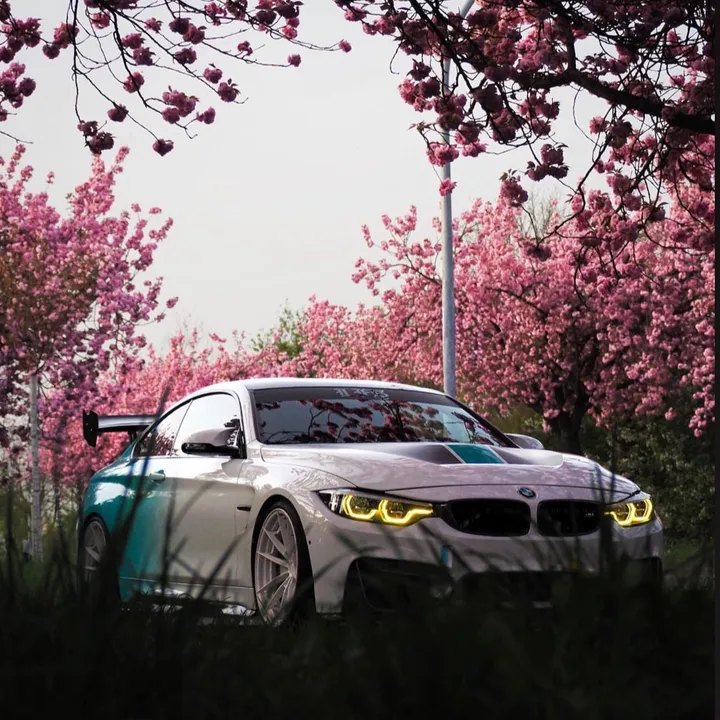 carlover6807