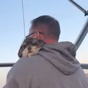 @beautdad