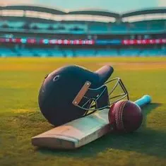 cricketstatus6