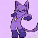 @erri_cat