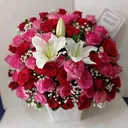 @irpan.maulana012