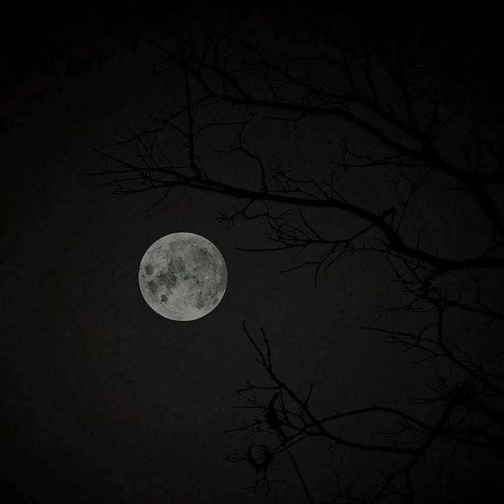@n699983