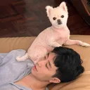 @bestvvvv