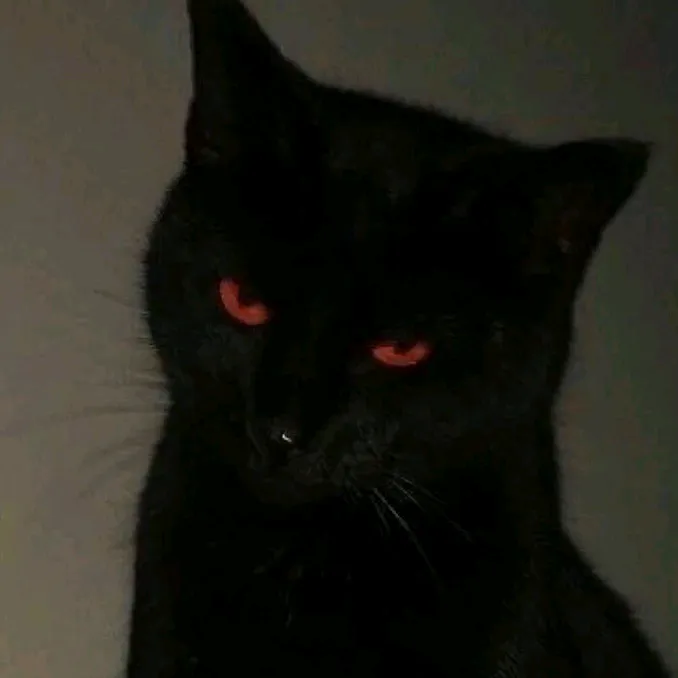 @afera666