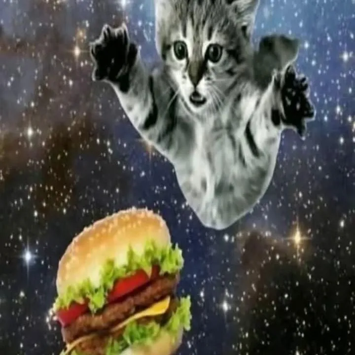 lyolik_burger