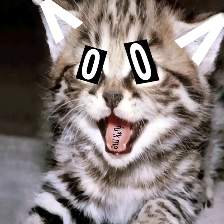 domofuy