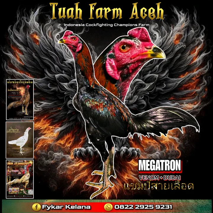 @tuahfarmaceh