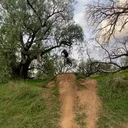 @harrylefevre12