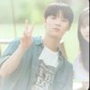 shibal_0002