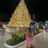 starjdd