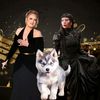 husky_adkins