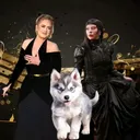 @husky_adkins