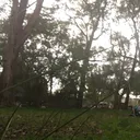 @overcaffinatedloser