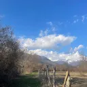 @zohrabayli_