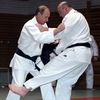 mir_judo0