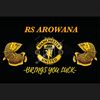 rs_arowana2021