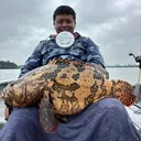 @aiman.titot