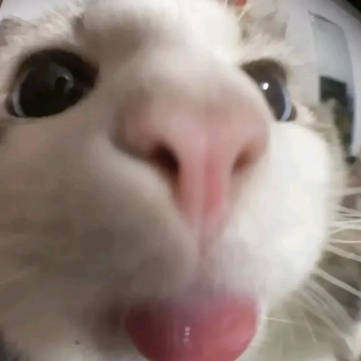 @ycehub.com