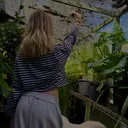 @exclusive.tulloolah