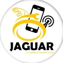 @office_jaguar