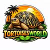 tortoisesworld