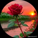 @user5461992561884