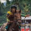 equine.cinematics