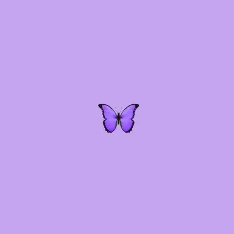 kamoo_m.16