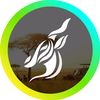 bountiful_safaris
