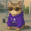 gatitowally