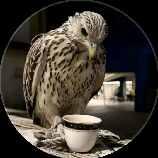@78pmu