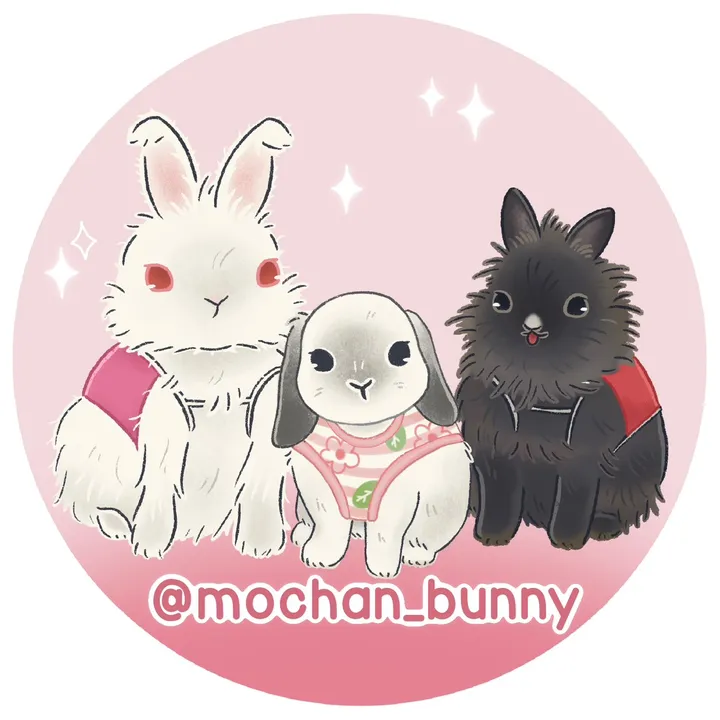 mochan_bunny