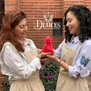 @dluces.co
