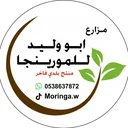 @moringa.w