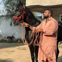 @pehlwanqadeerjatt