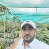 meer.hamza233